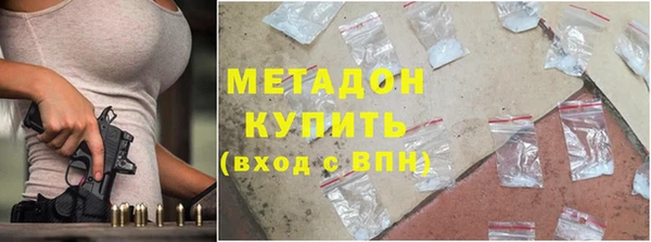 прущие грибы Волоколамск