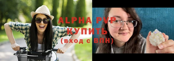 прущие грибы Волоколамск