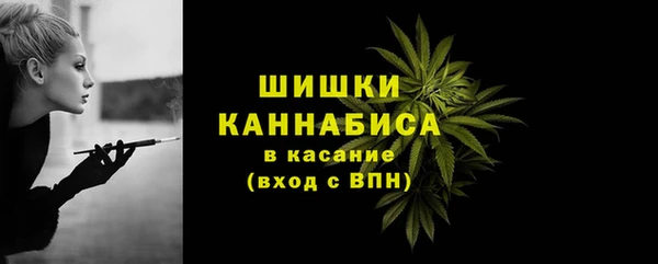 прущие грибы Волоколамск