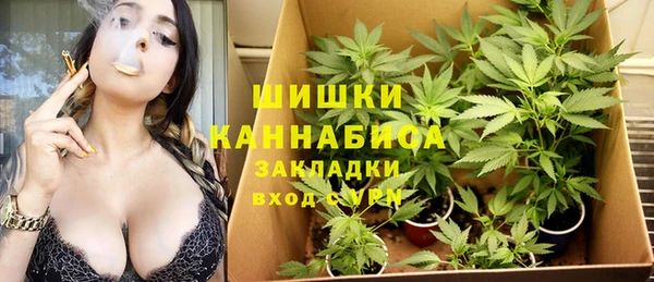прущие грибы Волоколамск