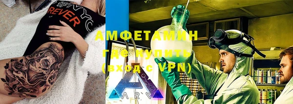прущие грибы Волоколамск