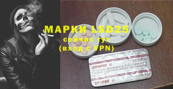 прущие грибы Волоколамск