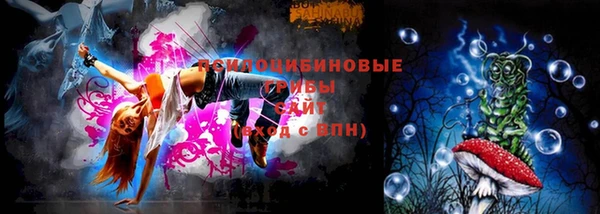прущие грибы Волоколамск