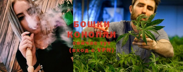 прущие грибы Волоколамск