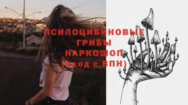МДПВ Волосово