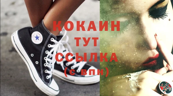 прущие грибы Волоколамск