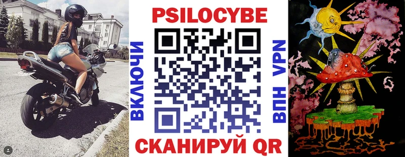 Псилоцибиновые грибы Psilocybine cubensis  Купить  Удачный 
